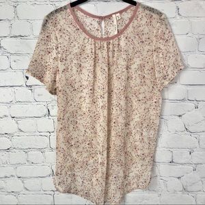 Bellatrix Sheer Floral Open Back Top